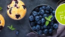 Blaubeer-Joghurt Muffin