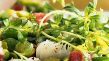 Salat-Dressing für Blattsalat